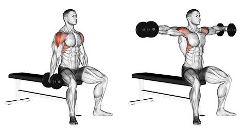 lateral raise