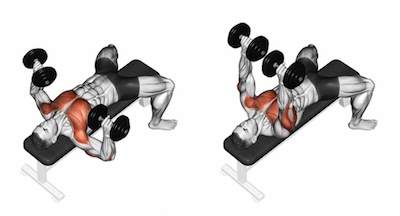 dumbell bench press