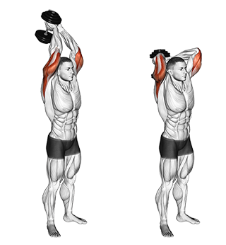 tricep extension
