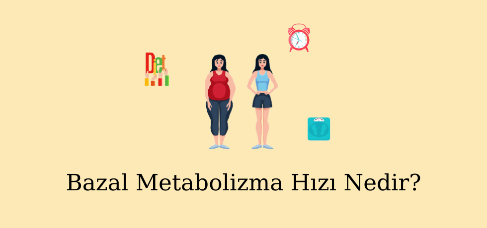 Bazal Metabolizma Hızı Nedir